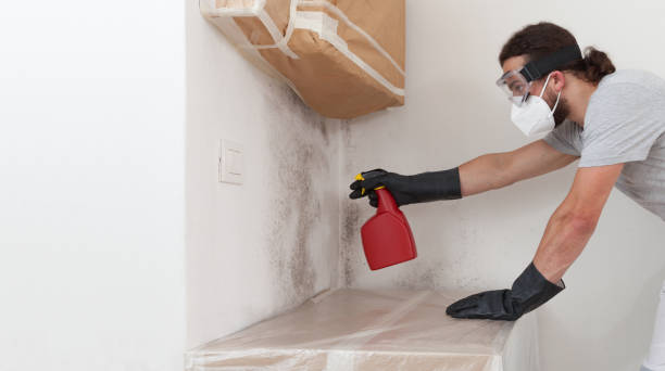 Professional Attic Mold Removal technician working in Clarksburg, MD